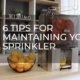 mizumo juicer maintenance